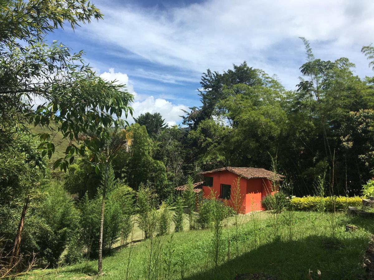 Ecolodge Bahia Del Penon Guatapé Dış mekan fotoğraf