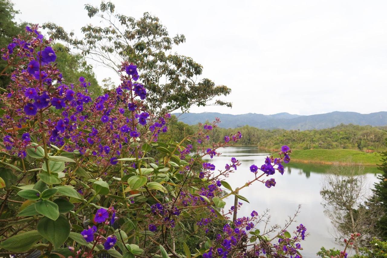 Ecolodge Bahia Del Penon Guatapé Dış mekan fotoğraf