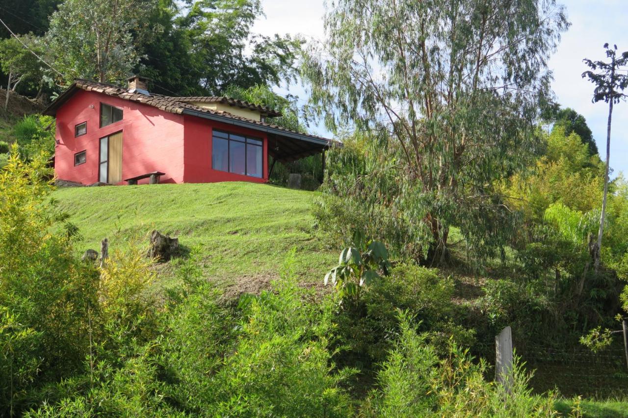 Ecolodge Bahia Del Penon Guatapé Dış mekan fotoğraf